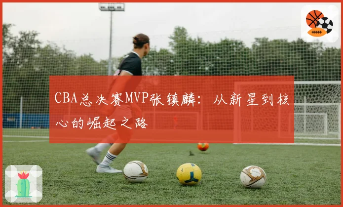 CBA总决赛MVP张镇麟：从新星到核心的崛起之路