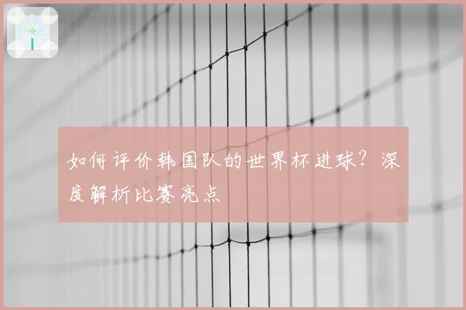 如何评价韩国队的世界杯进球?深度解析比赛亮点